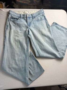 Hollister Low Rise Baggy Wide Leg Jeans Women’s 27